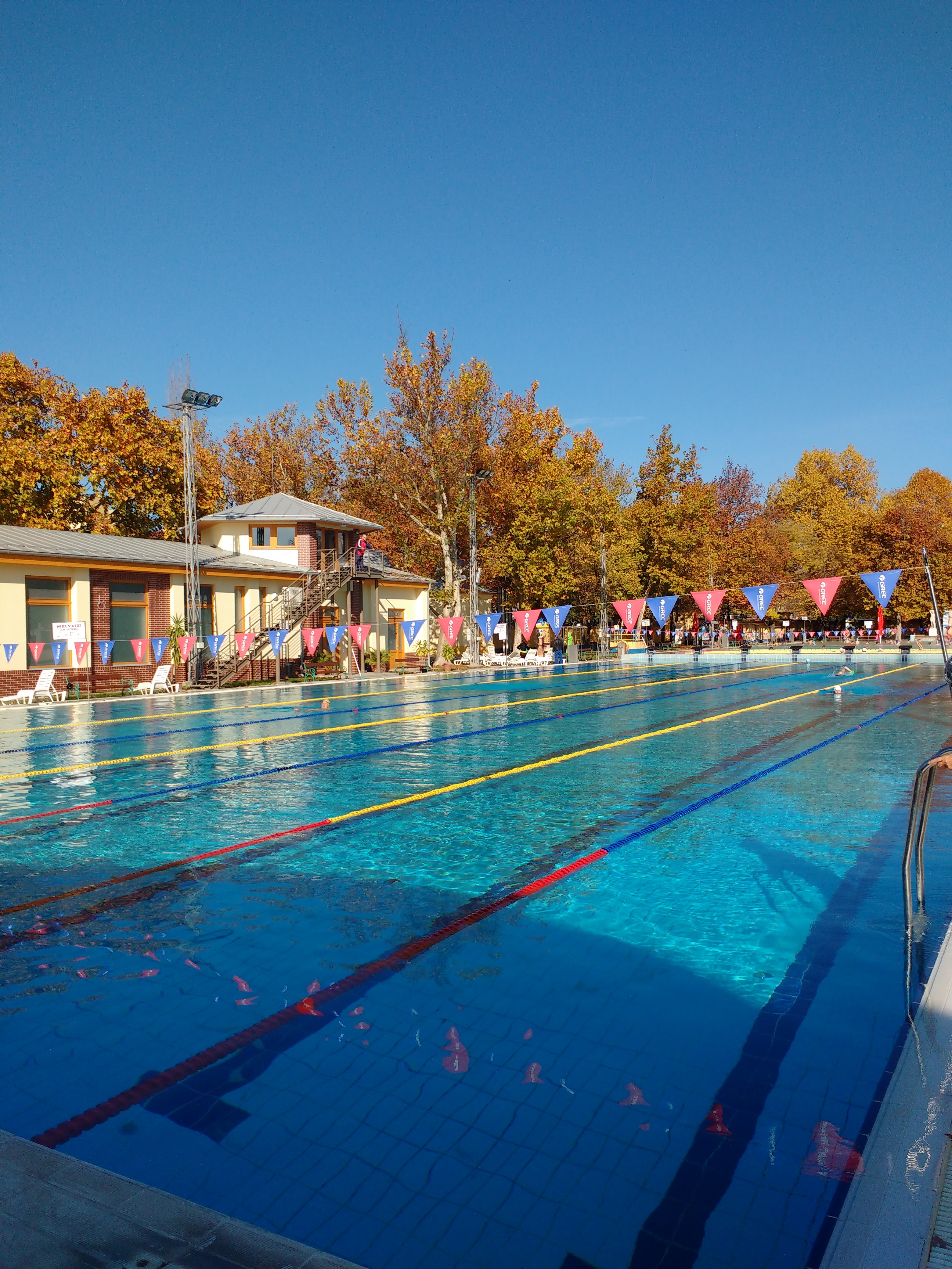 Masters Swimming